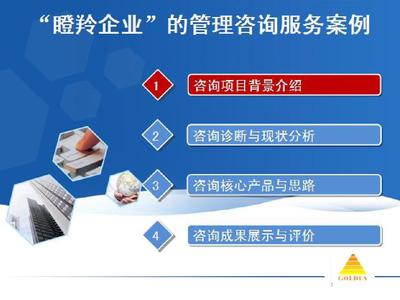 瞪羚企業(yè)咨詢案例解析 2014年企業(yè)管理優(yōu)化實(shí)踐